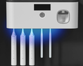 Toothbrush Sterilizer & Holder